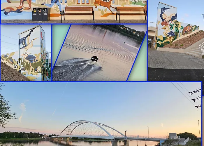 Rommi Kodumajutus شقة بارنو